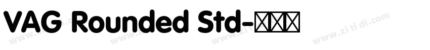 VAG Rounded Std字体转换